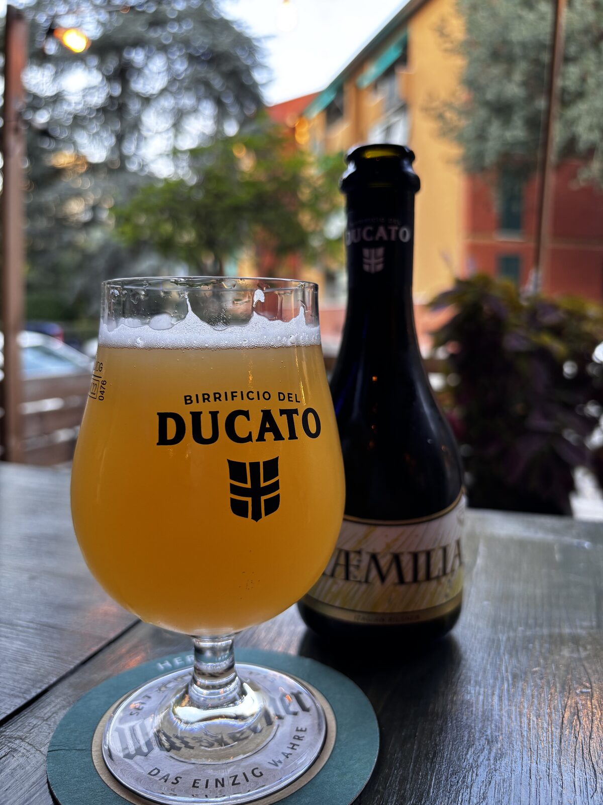 Cocktail pre-dinner fresco ed elegante con guarnizione